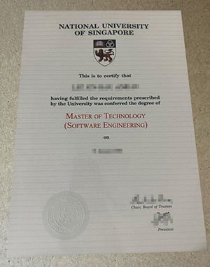 national university of singapore diploma