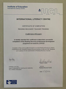 institute of education diploma