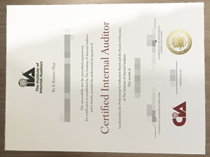 How does the Institute of Internal Auditors Certificate look like?