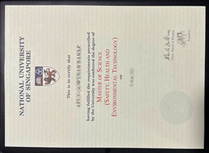 nus diploma