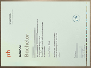 Best Website to Replace Your Lost The Mobile University Urkunde.