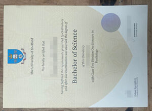 the university of sheffield diploma