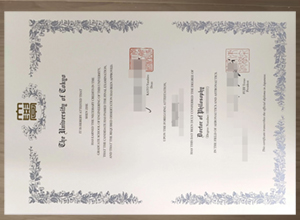 the university of tokyo diploma