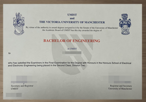 umist degree