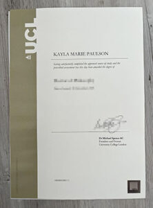 university college london diploma