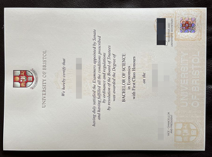 university of bristol degree
