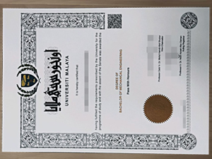 university of malaya degree