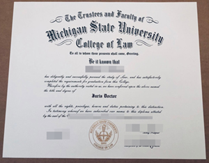 university of michigan ann arbor diploma