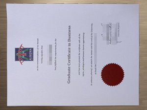 How to order a 100% copy Algoma University degree?