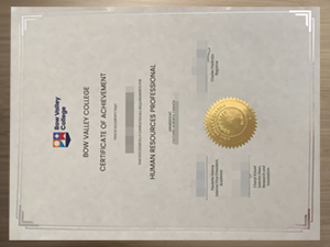 How to get a Bow Valley College diploma?