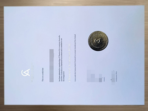 Fast to Get the CA ANZ fake certificate.