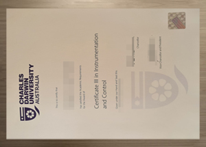 obtain City & Guilds Level 3 Electrical Installations Certificate way？