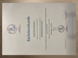 How does the Hamburger Fern-Hochschule urkunde look like?