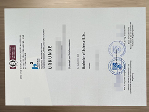 Apply for a Otto von Guericke University Magdeburg urkunde.