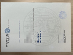 How to get a Rostock University degree?