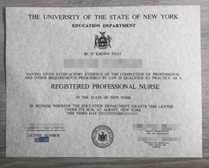 State University of New York degree certificate with official university design