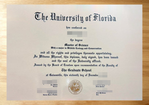 Buy the latest The University of Florida diploma in 2026.