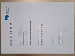 Would Like To Buy University of Applied Sciences Mainz urkunde