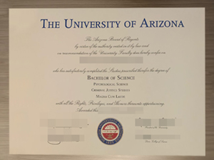 Surprising way to get a University of Arizona diploma online.