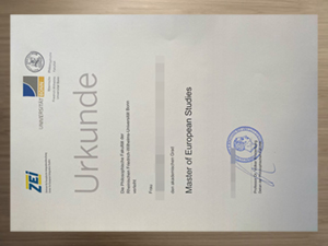 How to get a University of Bonn urkunde?