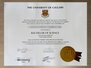 I am interested in buying a University of Calgary degree.