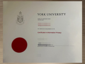 How easy to get a fake York University degree online?