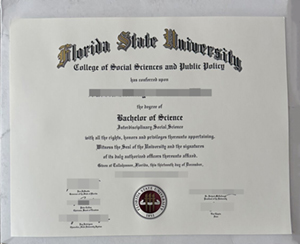 Process of Florida State University diploma.
