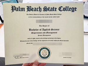High-quality Palm Beach State College diploma for sale.